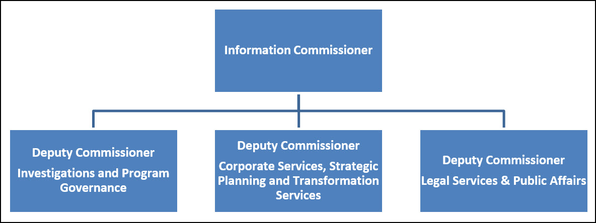 The senior management organizational structure is shown in the diagram below.